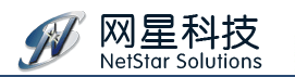 Netstar Logo